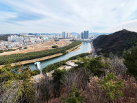 [행복 산행] 모두가 누리는 생태문화 자원이 되었으면,  남산 솔마루길