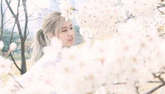 숲속의 요정 같은 '벚꽃 여신' 트와이스 사나