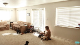 강아지 좋아하는 아내 위해 퍼피 놀이터 만든 남편 (영상)