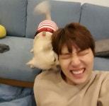 반려견 망고와 사랑스러운 애정행각 벌인 B1A4 산들