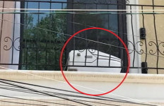 박근혜가 이사간 내곡동 자택 앞에서 포착된 변기