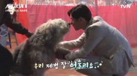시카고타자기 촬영중 강아지들이랑 놀아주는 고경표 (영상)