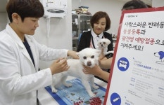 우리집 댕냥이 이달 말까지만 동물병원서 예방접종 5천원에 맞을 수 있다