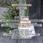 맘스터치 부평본점 직원 양파 춘삼이가 광합성 중 실종됐습니다