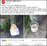 맘스터치 부평본점 직원 양파 춘삼이가 광합성 중 실종됐습니다