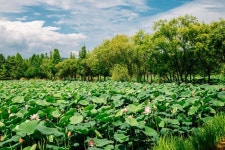 해외 뺨치게 예쁜 풍경으로 여행 마니아들에게 극찬 받은 국내 여행지 5곳