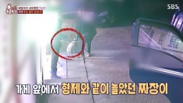 떠돌이 개를 안구 적출+골절될 정도로 폭행한 범인을 찾습니다 (영상)