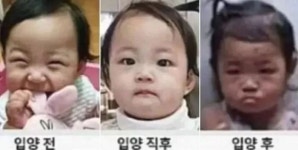 경찰청장 