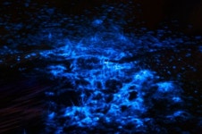 어두운 밤바다 위로 별빛 쏟아진 듯 영롱하게 빛나는 푸른 야경 (사진)