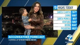 재택근무 중인 기상캐스터 엄마 생방송 뉴스 난입해버린 장꾸 아기 (영상)