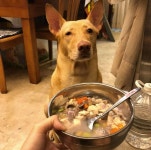 한쪽 눈 못 떠 동물병원 데려가자 병원 문 앞에서 두 눈 번쩍 뜬 댕댕이