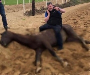 고된 훈련 같이한 경주마 심장마비로 죽자 사체에 올라타 웃으며 사진 찍은 조련사