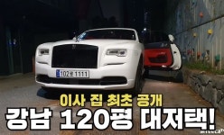 시투안역촌영앤리치 | '별풍선+유튜브'로 돈 잔뜩 벌어 120평짜리 초호화 강남 저택 이사가는 '영앤리치' 케이