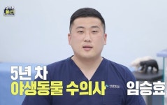 무시무시한 곰도 만나야 하는데 일반 수의사보다 월급 훨씬 적다는 야생동물 수의사 (영상)