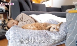 다음주 동물농장서 10년 기른 순심이와 함께한 추억 공개하는 이효리