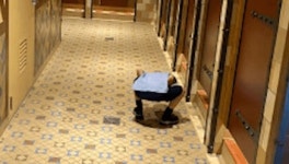 엄마 따라 여자 화장실 들어온 남자아이가 칸막이 아래로 훔쳐보고 있었어요