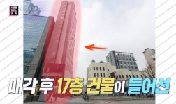 현빈 여친 손예진 합정역 앞 건물로 시세차익 41억 5천만원 남겼다