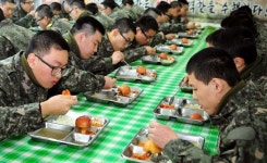 육군, 뷔페식 샐러드바와 한식·양식 중 골라먹는 병영 식당 추진한다