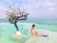 소금물 때문에 생명이 살 수 없는 사해 속에서 숨 쉬고 있는 나무 한 그루 (사진 10장)