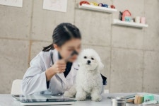 동물병원서 일하는 멍멍이·야옹이 간호하는 동물보건사 국가 공인 시험 도입된다