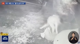 인사 제대로 안 한다며 20살 여자 후배 무차별 폭행한 승마 선수 (영상)