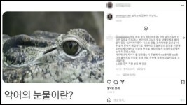 연예인 인스타에 단 반말 댓글까지 다 털린 나는 솔로 영철