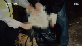 땅속에 묻힌 주머니의 정체...다음주 꼬꼬무가 집중조명하는 축령마을 미스터리 (영상)