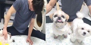 택배견 경태·태희 아부지, 알고보니 아버님이 아니라 오빠였다