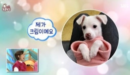 신동엽, 동물농장 진행 21년 만에 입양한 반려견 공개...주인이랑 똑닮았네