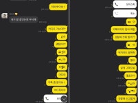 달리는 택시서 뛰어내려 사망한 포항 여대생이 남친과 주고 받은 카톡 대화 내용
