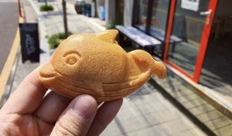 전국 빵순이 주목!...국내 여행할 때 무조건 방문해야 하는 新전국 빵 맛집