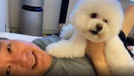 토리아빠 윤석열, 7마리 댕댕·야옹이들 용산 공관 데려간다