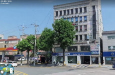 이재명 인천 계양을 선거사무소앞 가로수 상황