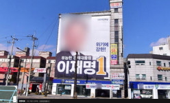 이재명 인천 계양을 선거사무소앞 가로수 상황