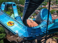 내일(21일) 개장하는 캐리비안베이 미리 알고 가야 할 꿀팁 8가지