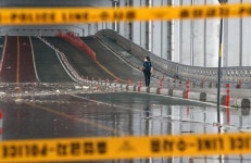 폭우로 침수된 분당 탄천 산책로 놀러 나왔다가 물 빠져서 당황한 자라