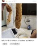 칵테일새우 블랙타이거로 속여 파는 가게 사장이 항의한 고객을 우롱하는 방법
