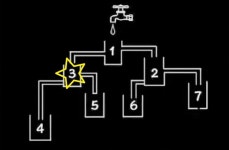가장 먼저 물이 가득 채워지는 컵은?...정답률 단 1%라는 눈썰미 테스트