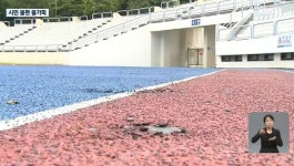 여수시, 싸이 흠뻑쇼 끝나고 경기장 훼손됐다며 원상복구 요구
