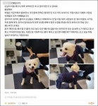 모텔 손님이 숙박비 대신 두고 간 것...사람이 할 짓이냐