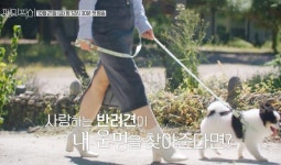 반려견이 고른 이성과 무조건 데이트...하다 하다 이런 방송 나온다