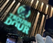전문가들이 말하는 압사 위험 상황에서 생존률 높이는 4가지 방법