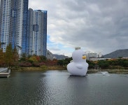 김해에 생긴 러버덕 사촌 더기...인싸들 관심 대폭발 (+사진)