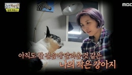 반려견 키우는 주인들 폭풍 오열하게 만든 어제자 놀면 뭐하니 장면