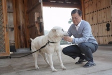 문재인 전 대통령 안타까운 소식 전했다...마루가 저 세상으로 떠났다