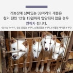 12월 19일, 제가 친구들과 함께 죽는 날입니다