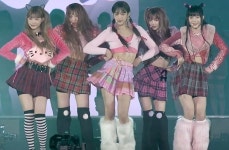 고양이 귀+키티옷 조합으로 텔미 어머나 찰떡 소화한 뉴진스 해린 (영상)
