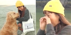 순심이 맞는 것 같은데...캐나다서 무지개 다리 건넌 반려견 닮은 강아지 보고 눈물 쏟은 이효리