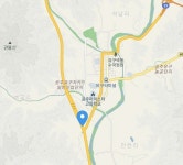 제발 도와주세요...충남 공주서 입마개 한 채 떠도는 유기견 발견됐다