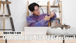 유명 연예인이 동물병원에 데려온 반려 고양이...발가락이 다 잘려있었습니다